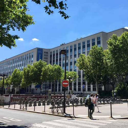 University of Paris-Dauphine