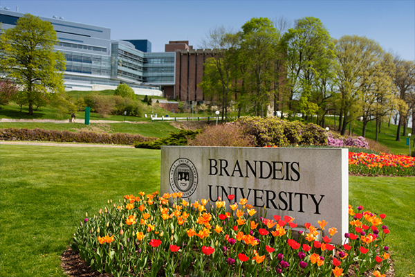 Brandeis University sign