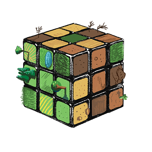 An illustration of an earth-colored Rubik's cube with trees, grass and dirt on its surface. 