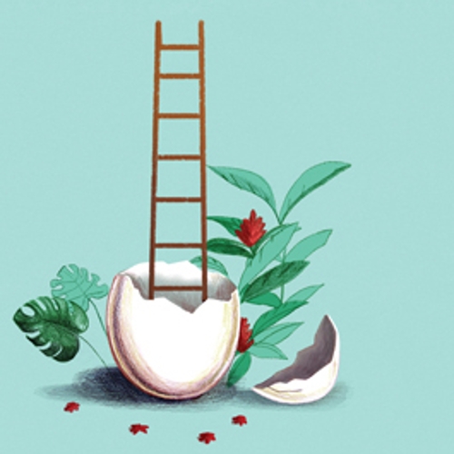 Illustration of a ladder emerging from inside a broken egg.