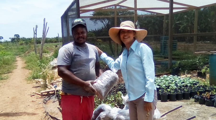 Carol Lue, MBA'03, on a farm in Jamaica