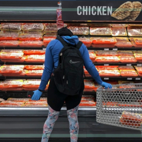 A shopper browses the chicken display at a grocery store.