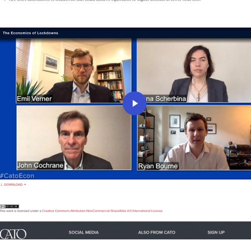 Screen capture of four video-linked economists.