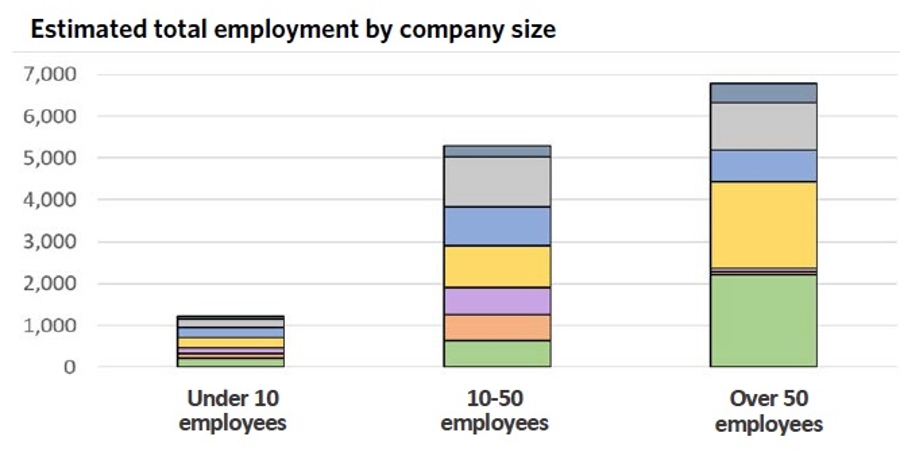 BCC Insight 3