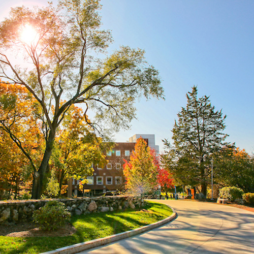 A shot of Brandeis' campus on a sunny fall day.
