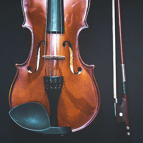 violin