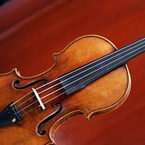 violin