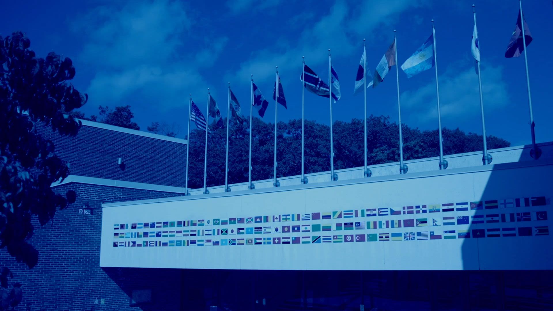 Donor Impact Report