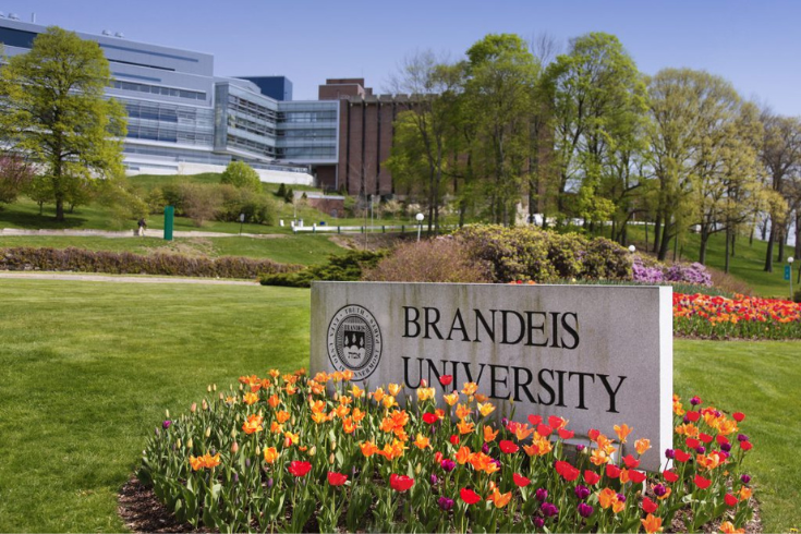 Brandeis University sign with spring flowers growing in front