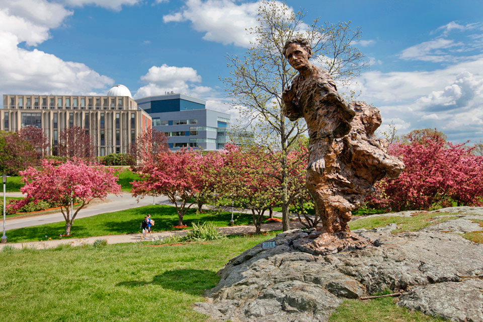 The library in spring with blooming flowers