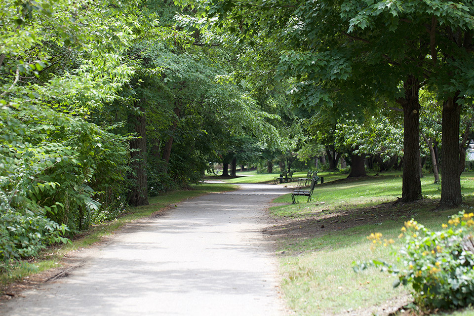 winding, tree-lined pathway