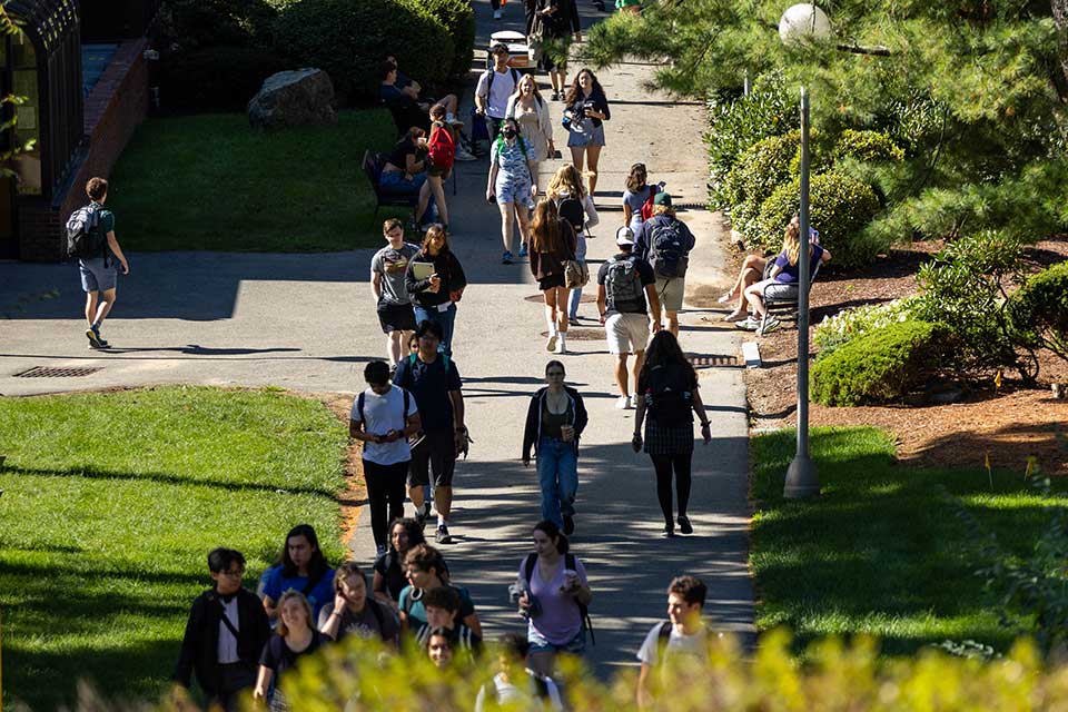 Students walking on tree-lined paths on the first day of school. 