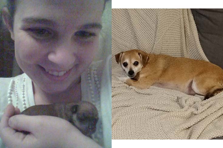 Left: Lincoln, a one-day-old Chihuahua mix puppy, is held by PhD student Kerry Jo Green. Right: An older Lincoln lies on a blanket.