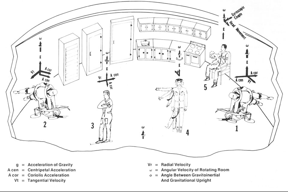 Illustration of responses to the force environment in the Rotating Room.