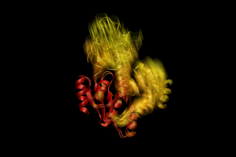 Colorful image of proteins