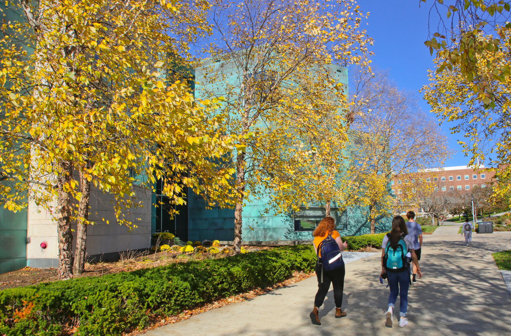 Students walk by the Shapiro campus center, with fall foliage around them.