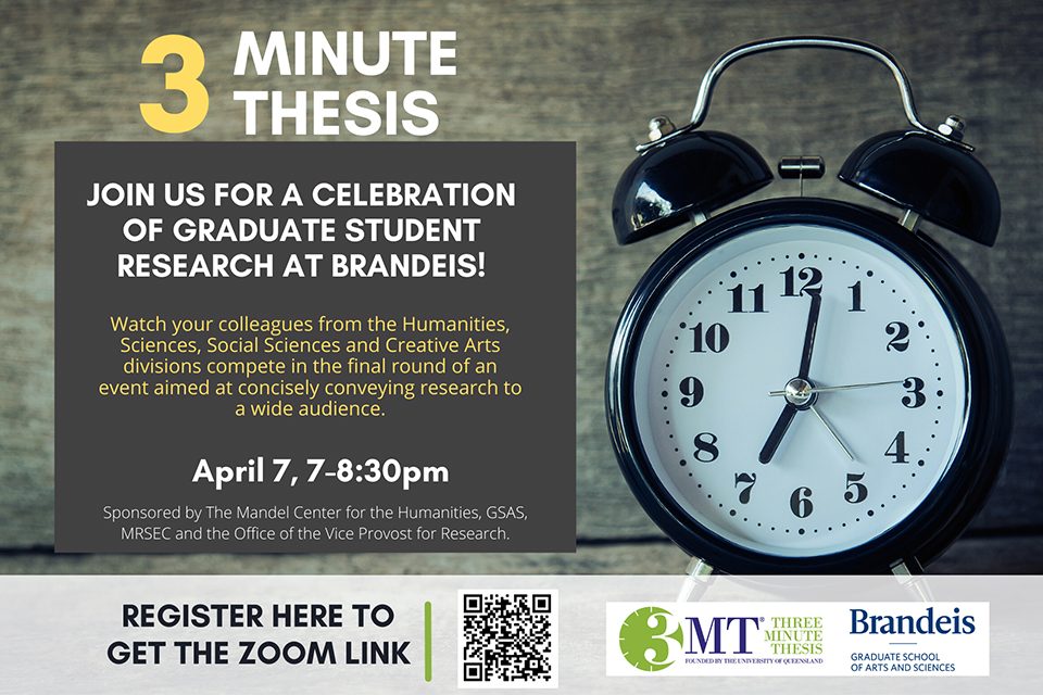 three minute thesis banner