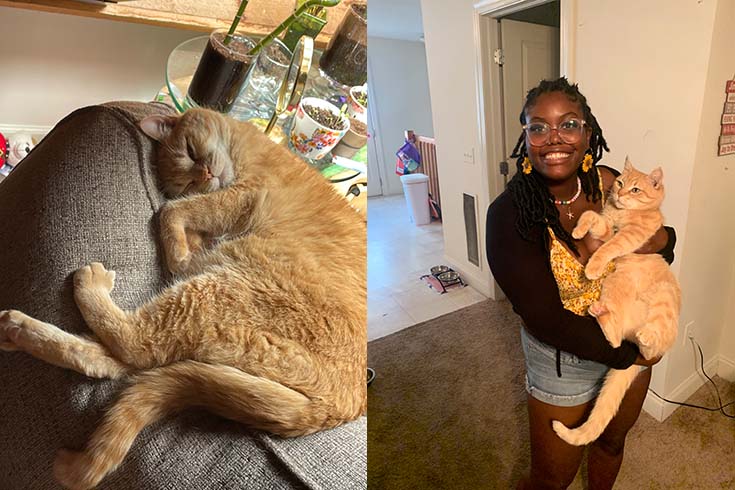 Left: Quesadilla, a chunky ginger cat, lies on a cushion. Right: Student Quieraney Belvin holds Quesadilla in her arms. 