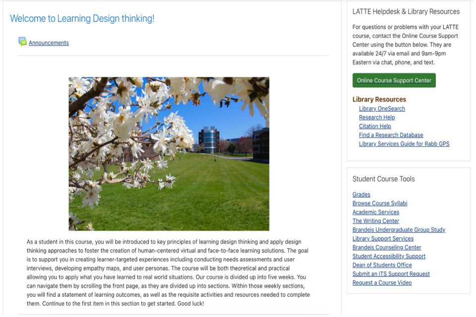 A screenshot of a zoom session showing an introductory page of the Learning Design Thinking course with highlights of what students will accomplish.