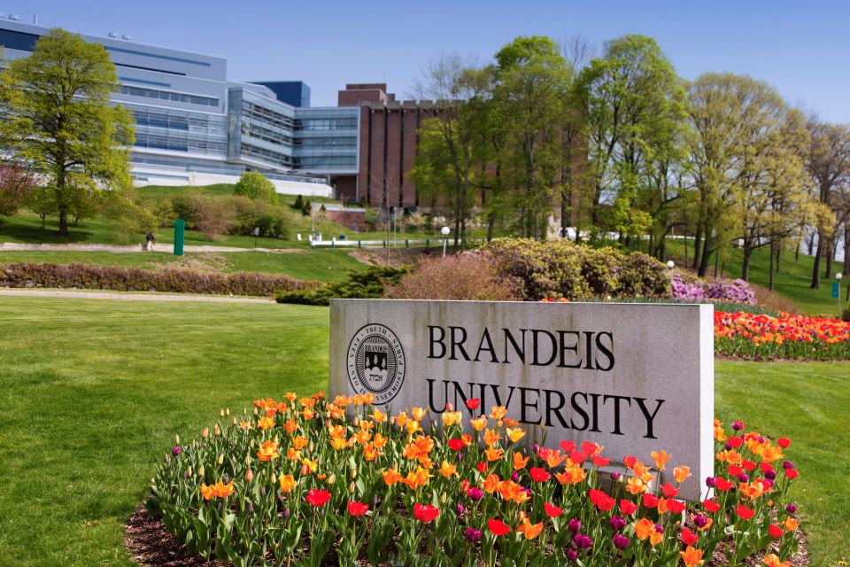 Brandeis sign with spring flowers