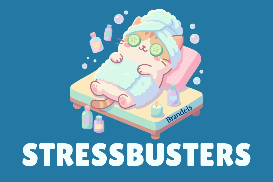 A cat relaxing at the spa wearing a towel with cucumber slices over its eyes