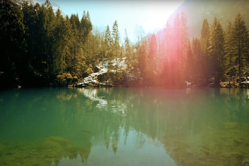 A blue lake surrounded by pine trees.