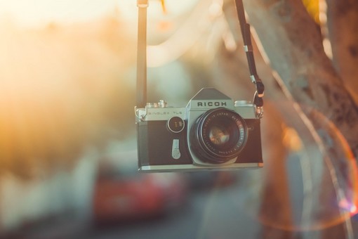 An artistic photo of a camera hanging from a strap off a tree branch