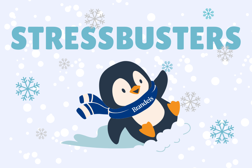 A happy penguin in the snow