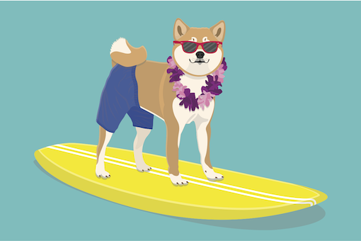 An illustration of a Corgi dressed up in swim trunks, a lei, and sunglasses on top of a surfboard.