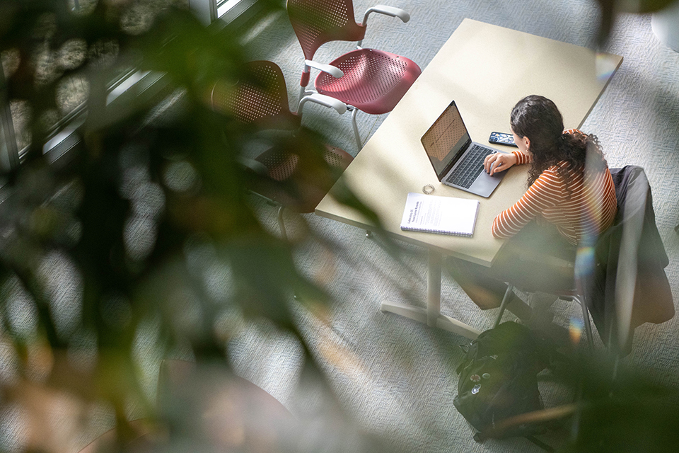 Dina Ocken, ’25, studies in the morning light at the Carl J. Shapiro Science Center on February 9, 2023. Photo/Gaelen Morse