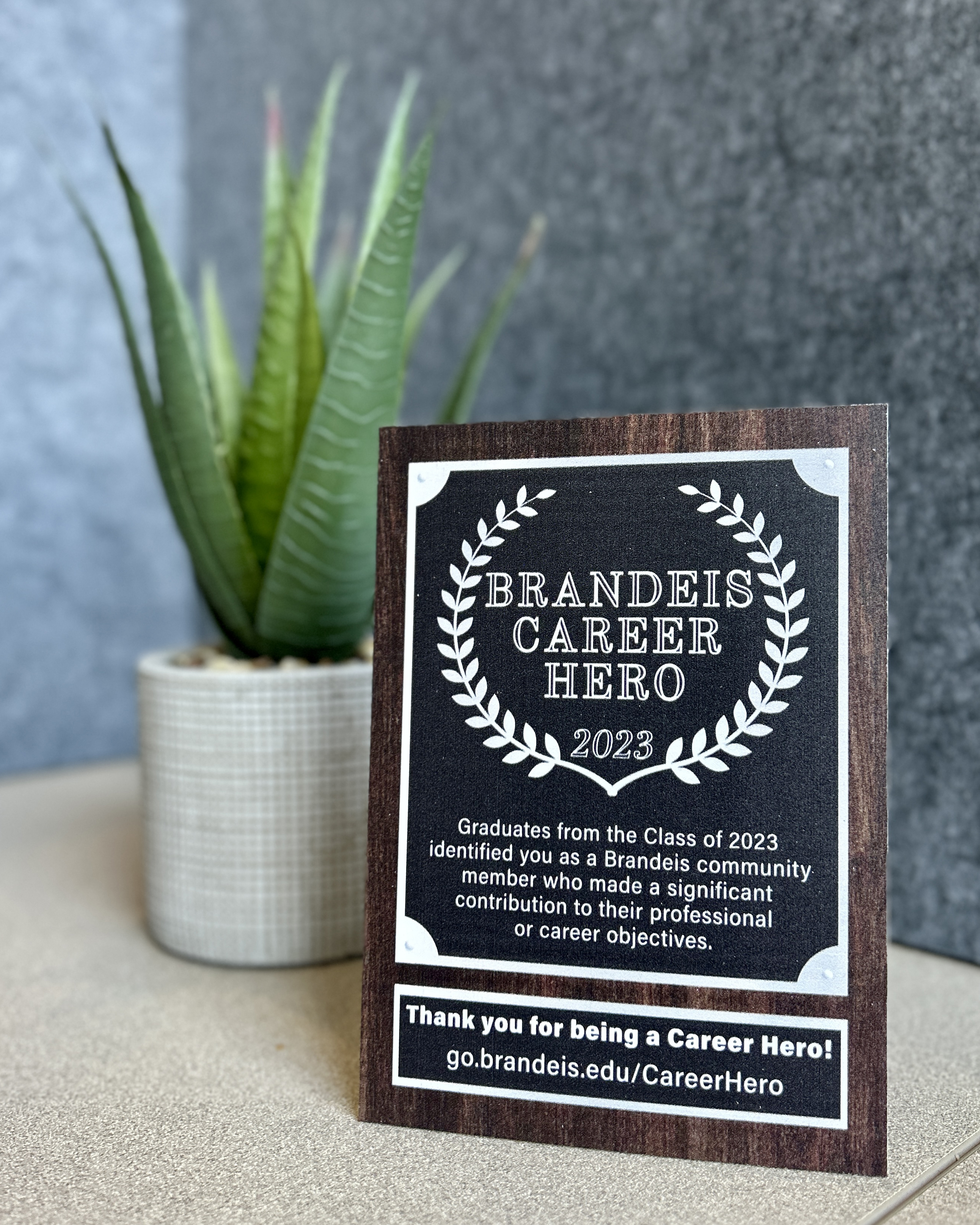A 2023 Brandeis Career Hero award displayed on a desk next to a plant.
