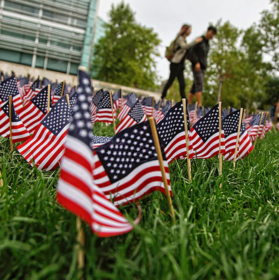 American flags displayed on Fellows Garden