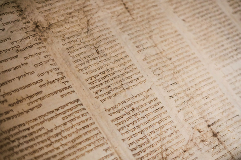 Pages of the Torah