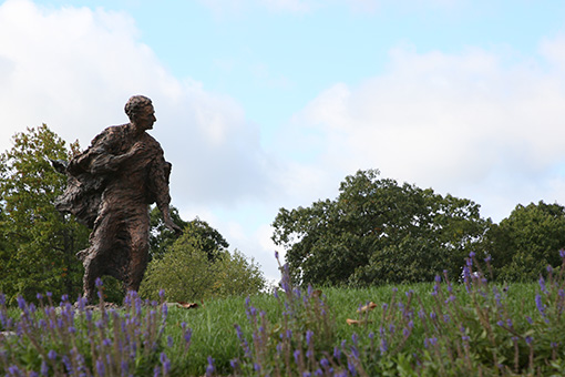 statue of louis brandeis standing in field of purple flowers