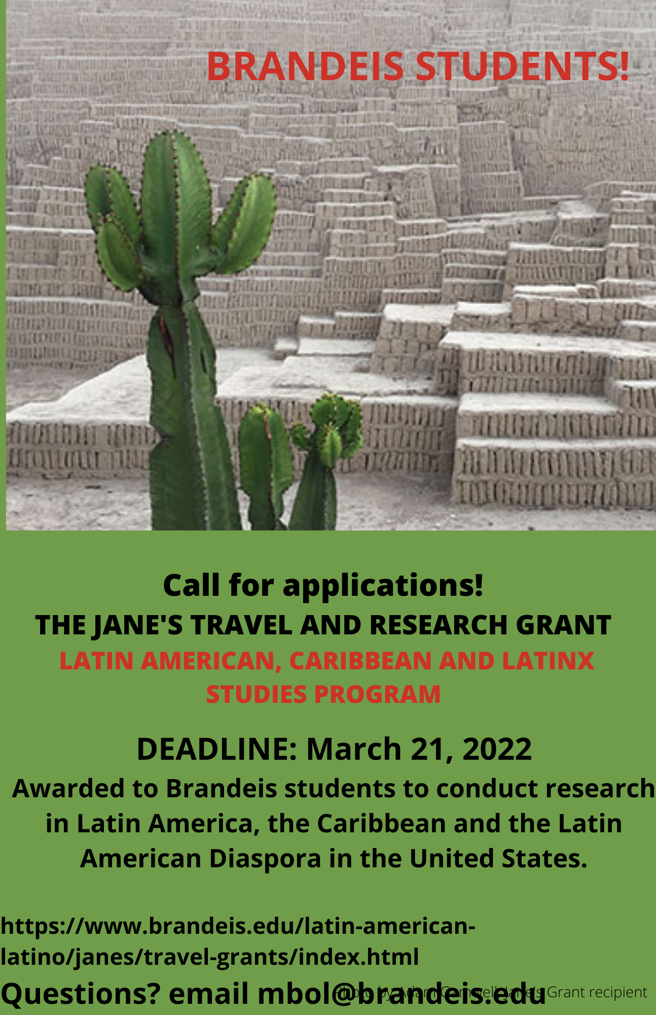 Flyer for Jane's Travel and Research Grant Prizes and Awards
