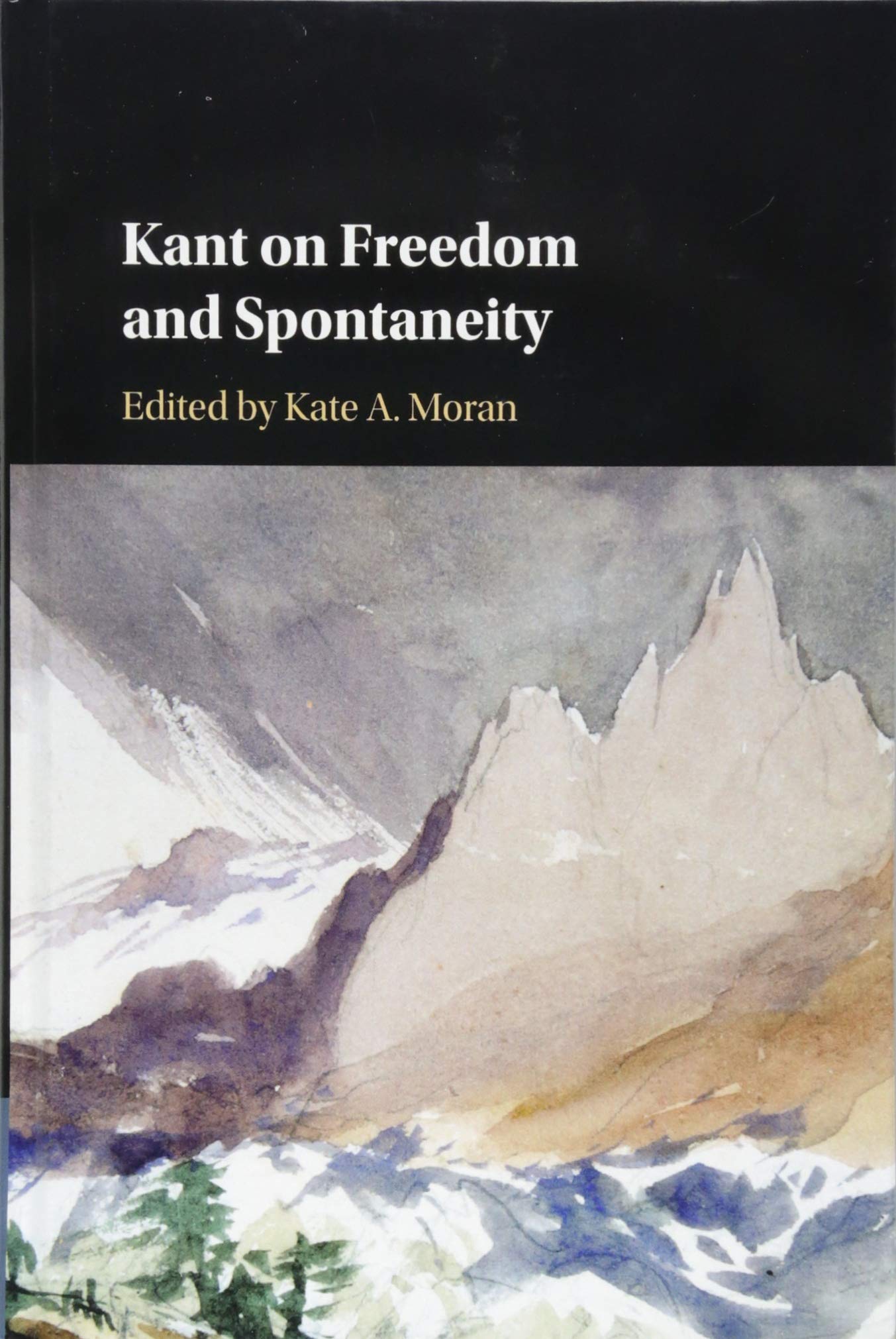 Kant on Freedom and Spontaneity book cover