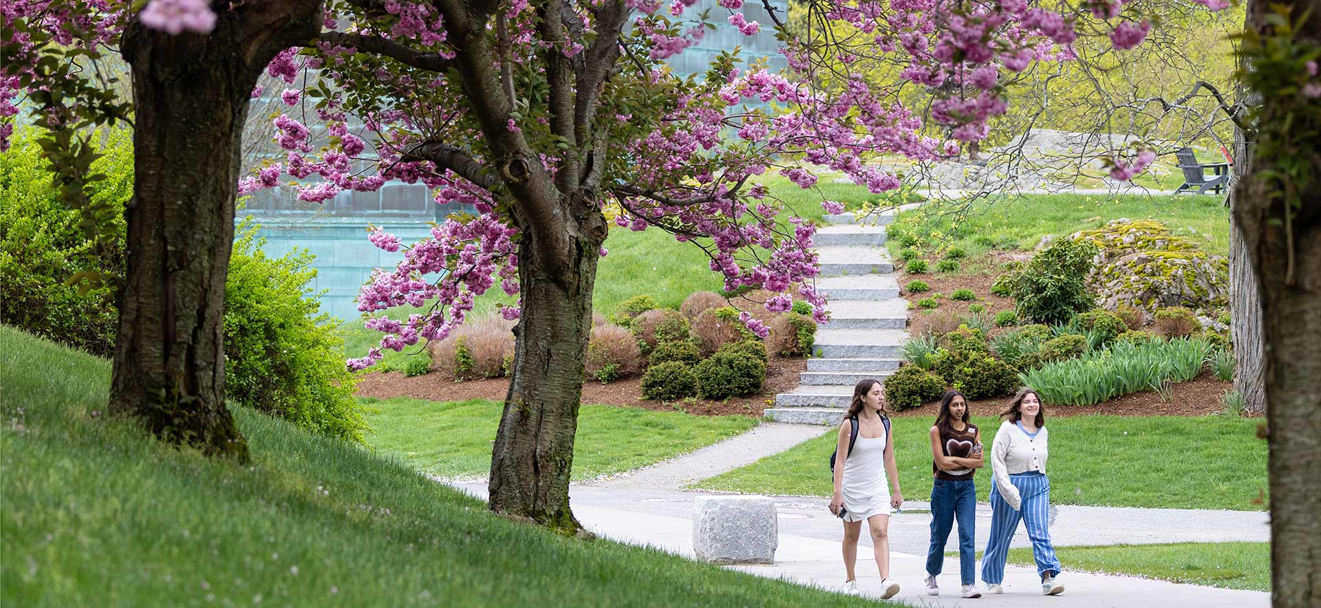 Three students walking on campus in springtime