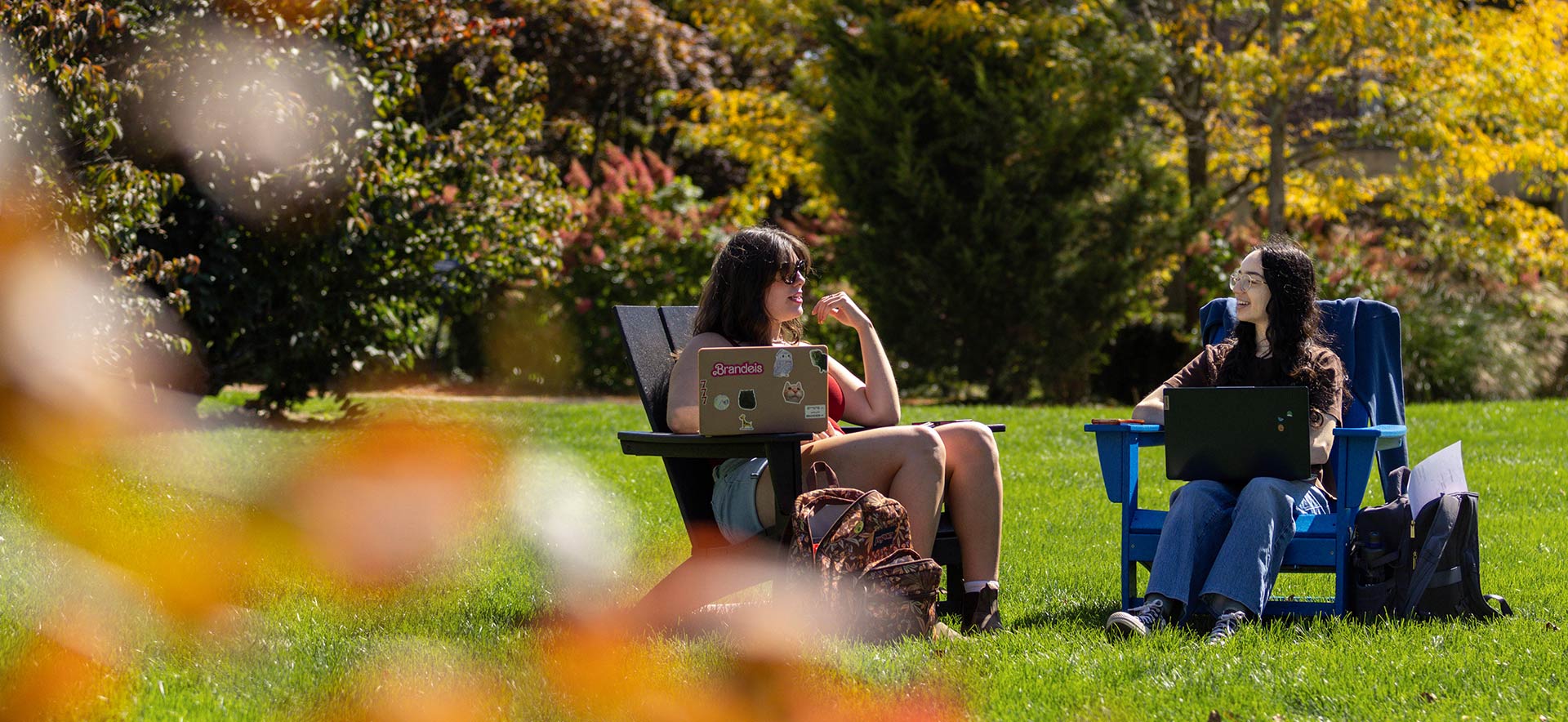 Two students sitting in chairs on the Brandeis campus, fall colors surrounding them