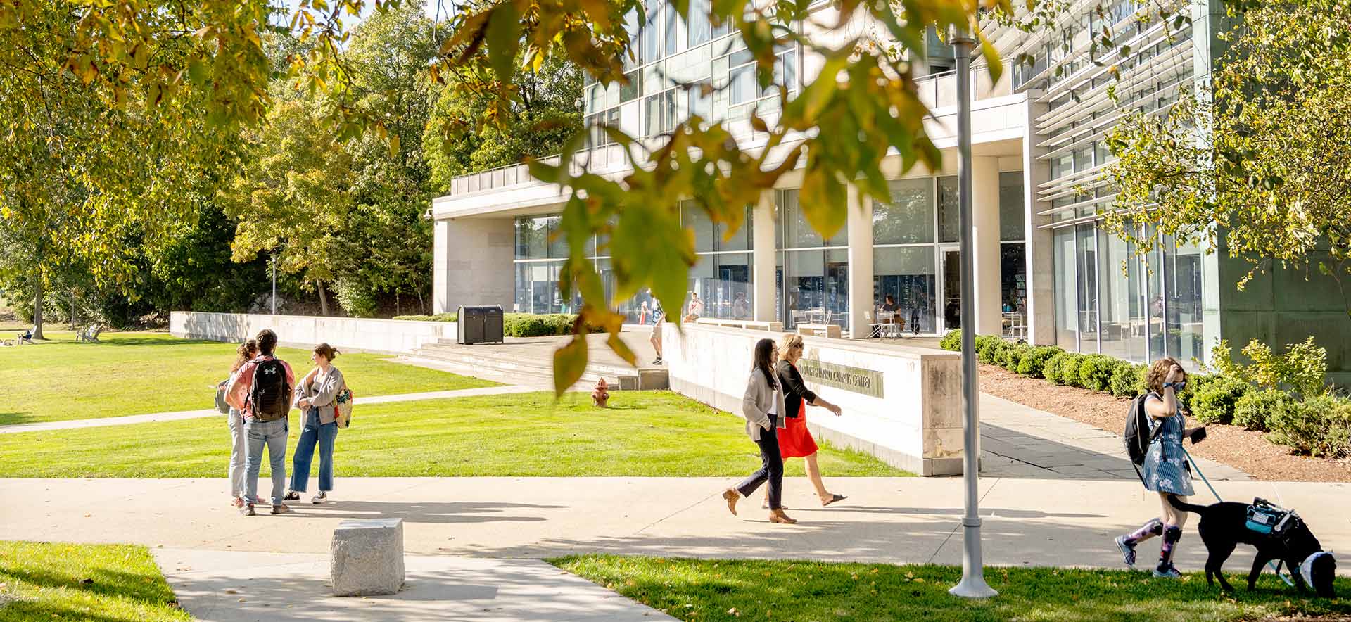 Brandeis campus landscape