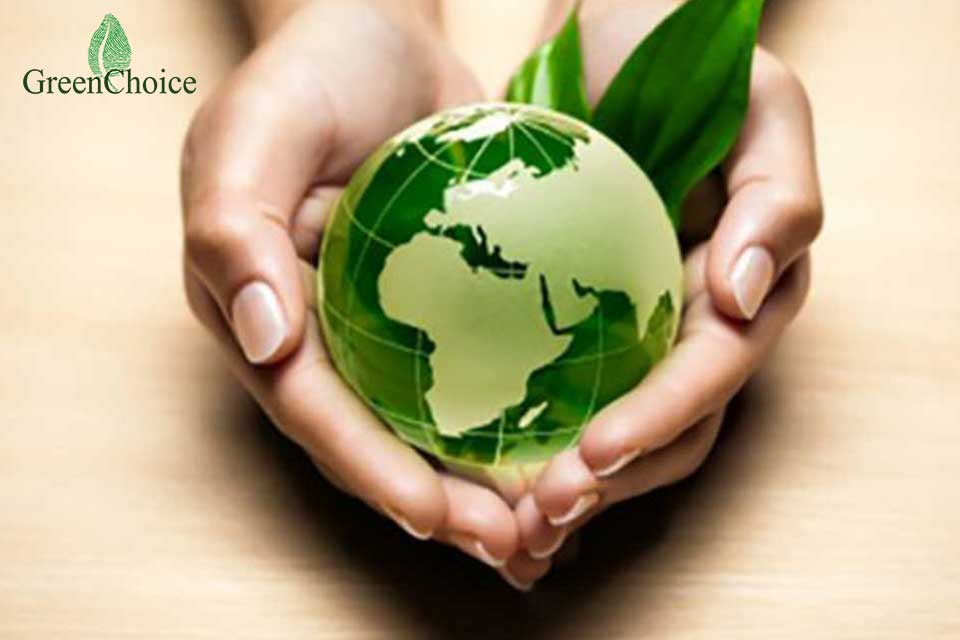 greenchoicenow