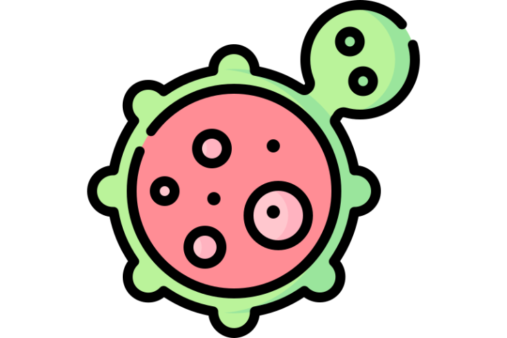 cancer cell