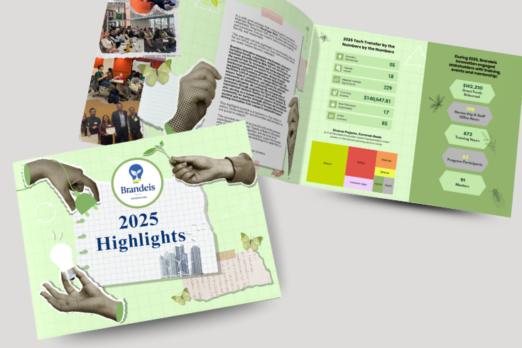 Brandeis Innovation Highlights booklet 25
