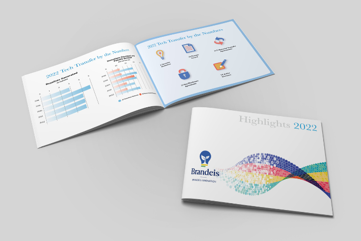 Brandeis Innovation Highlights booklet