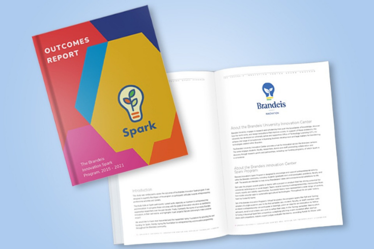 Spark Outcomes report