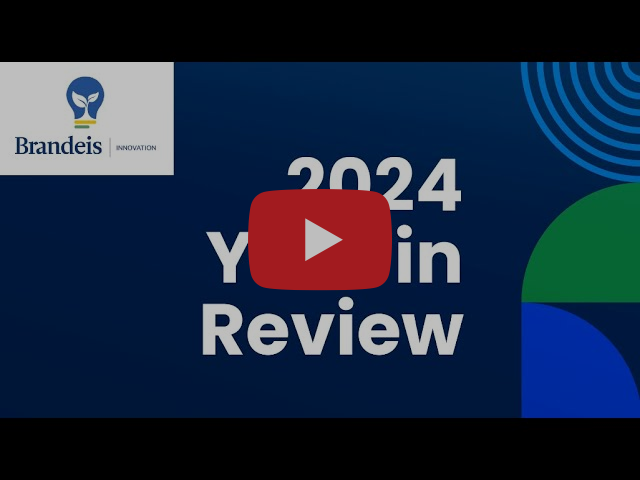 2024 Year in review