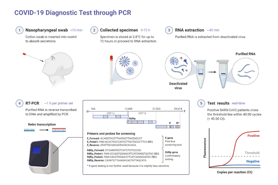 bridge diagnostics lab results covid bridge diagnostics lab results covid
