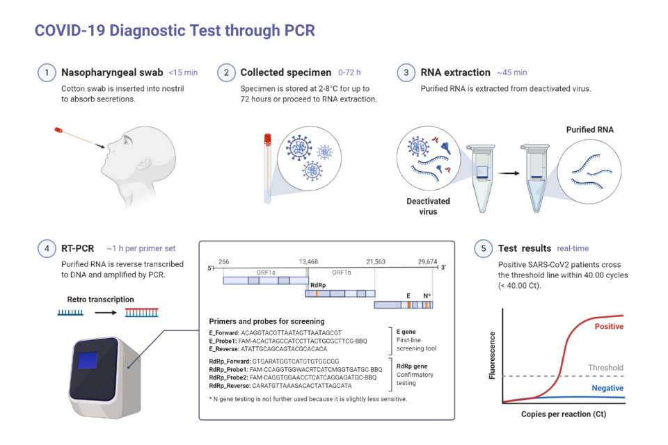 COVID-19 Diagnostic Test through RT-PCR