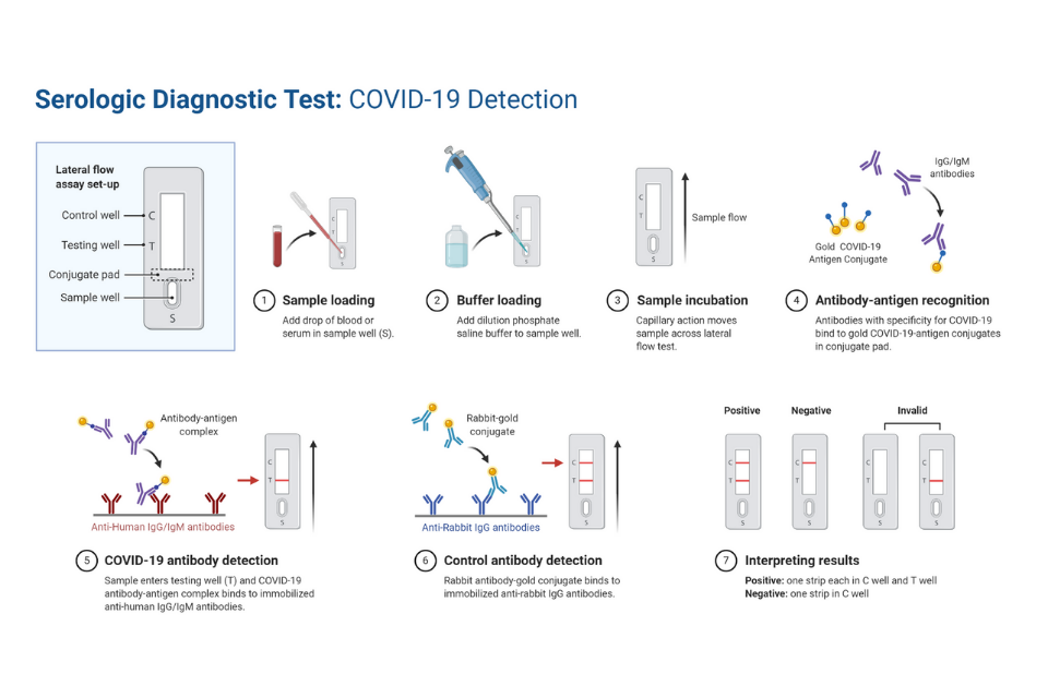 COVID-19 Serologic Diagnostic Test through Antibody Detection