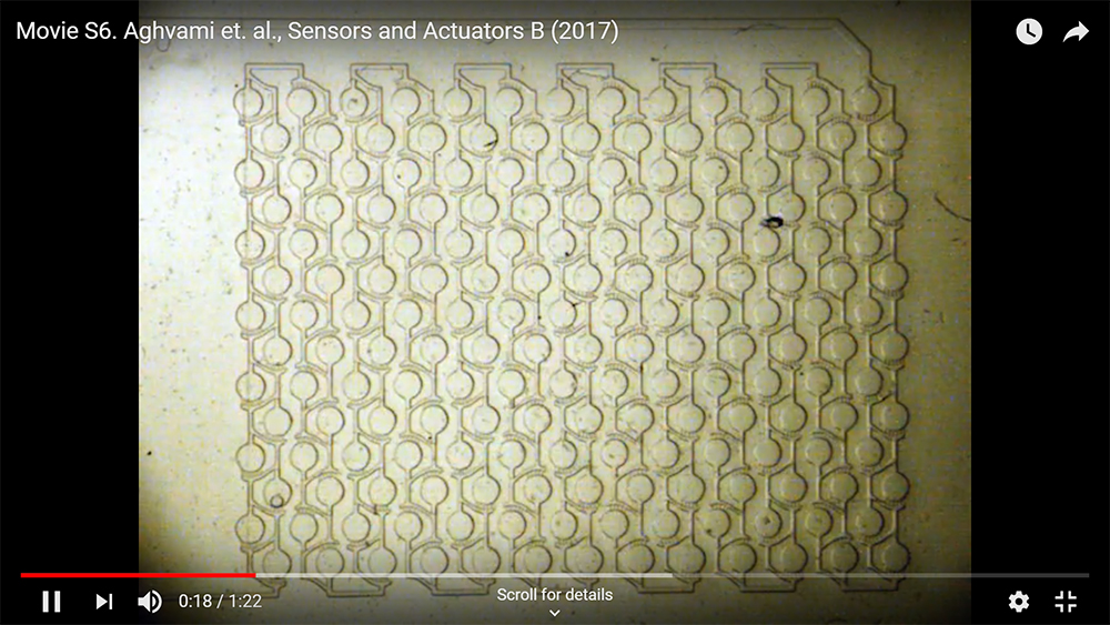 Microfluidic Chip Video