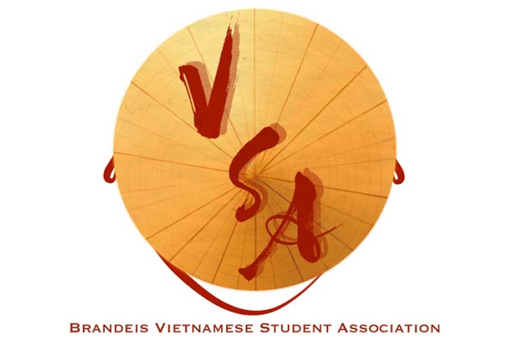 VSA logo